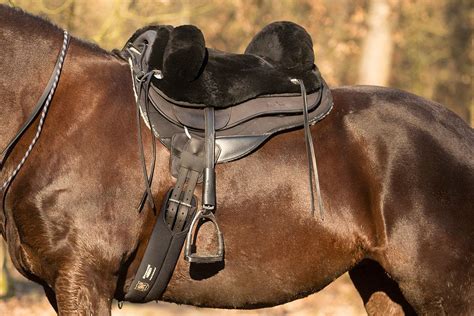 Barefoot saddles .